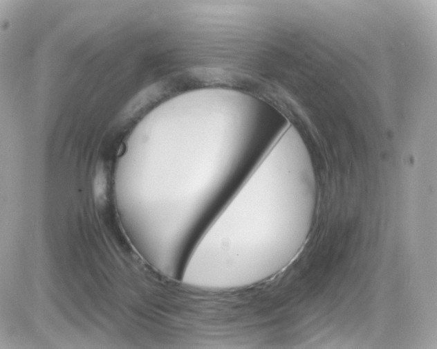 X0000082170124200701191030