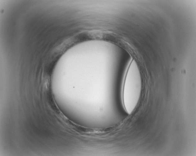 X0000082170125200701191030