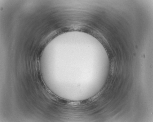 X0000082170126200701191030