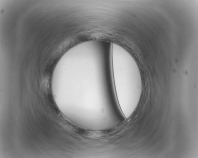 X0000082170127200701191030