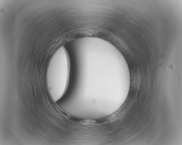 X0000082170128200701191030