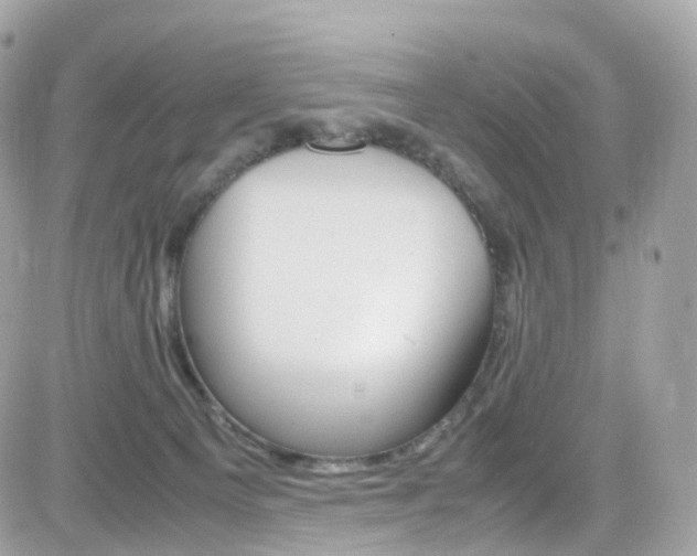 X0000082170129200701191030