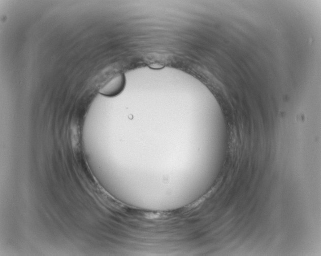 X0000082170130200701191030