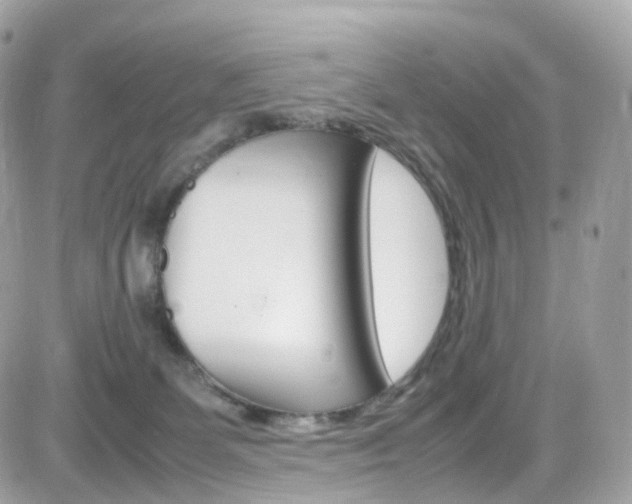 X0000082170131200701191030