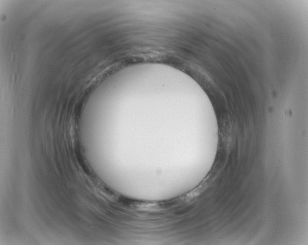 X0000082170132200701191030