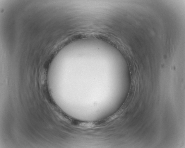 X0000082170133200701191030