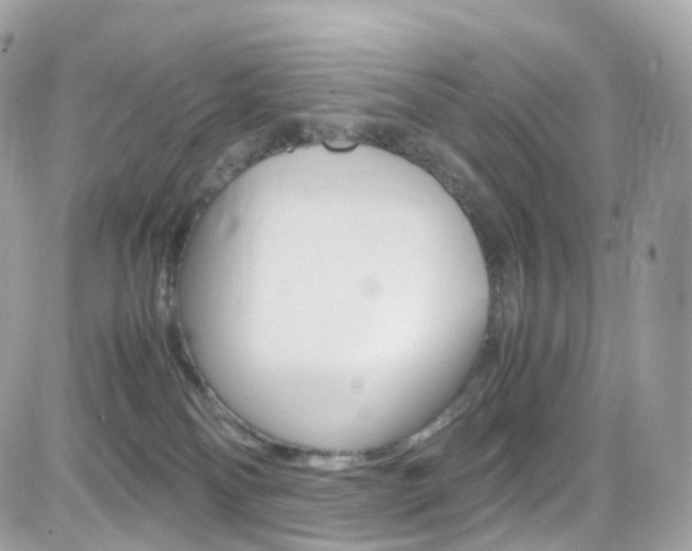 X0000082170134200701191030