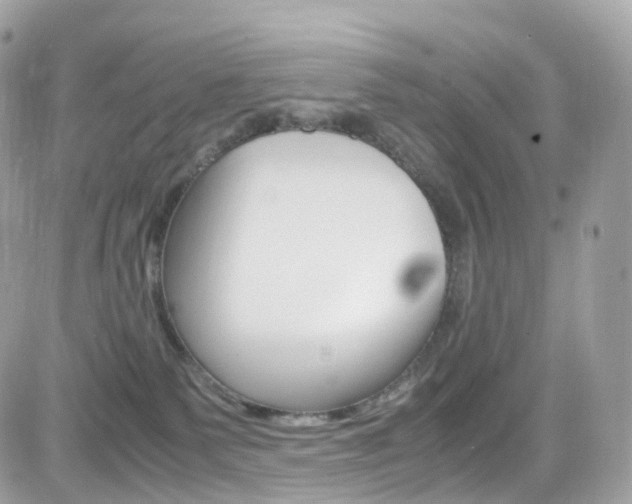 X0000082170135200701191030