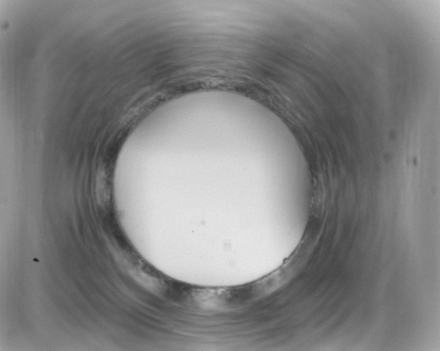 X0000082170136200701191030