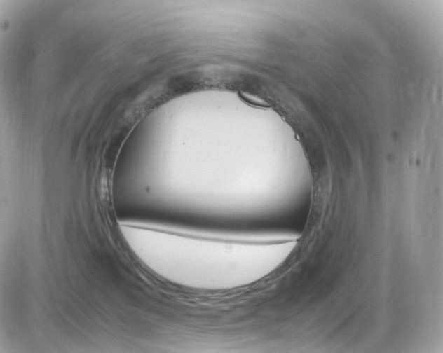 X0000082170137200701191030