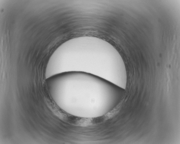 X0000082170138200701191030