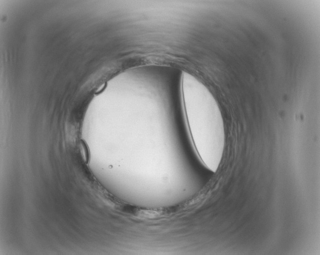 X0000082170139200701191030