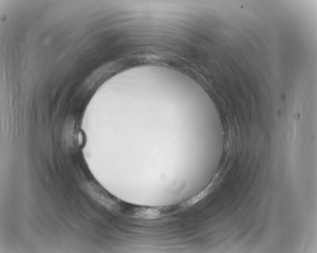 X0000082170140200701191030