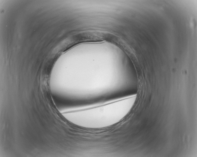 X0000082170141200701191030