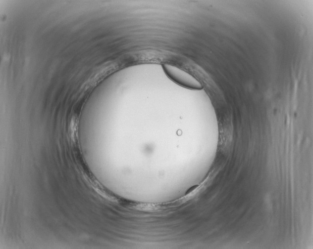 X0000082170142200701191030