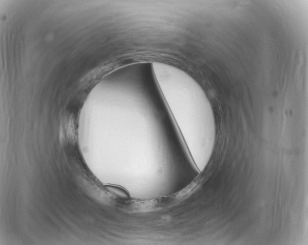 X0000082170143200701191030