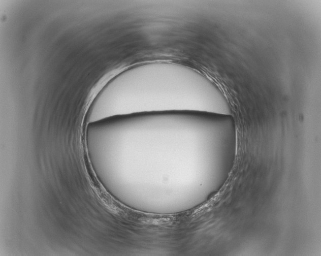 X0000082170147200701191029