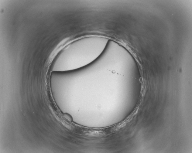 X0000082170151200701191029