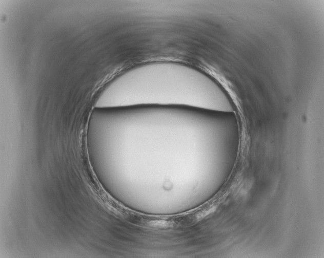 X0000082170153200701191029