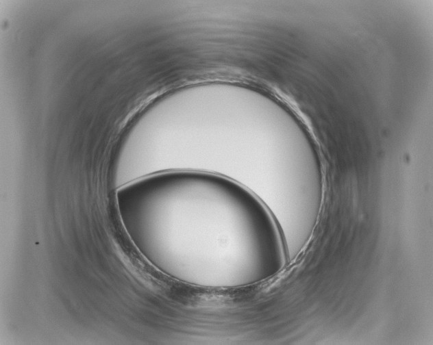 X0000082170154200701191029