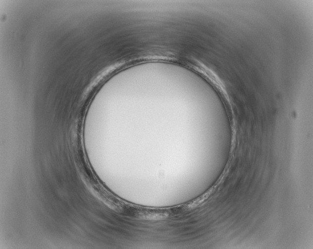 X0000082170155200701191029