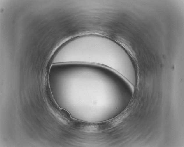 X0000082170156200701191029