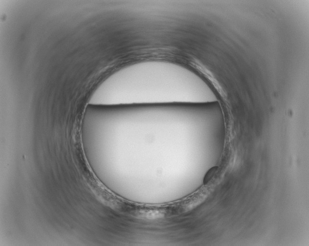 X0000082170161200701191029