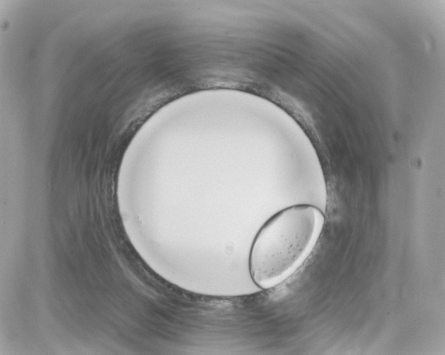 X0000082170162200701191029