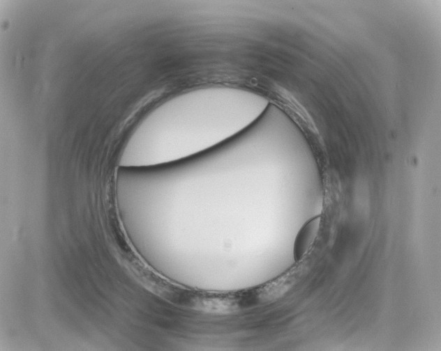 X0000082170163200701191029