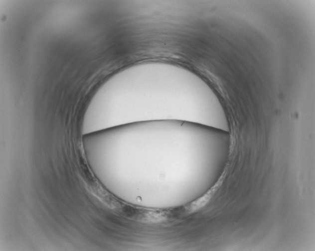 X0000082170166200701191029