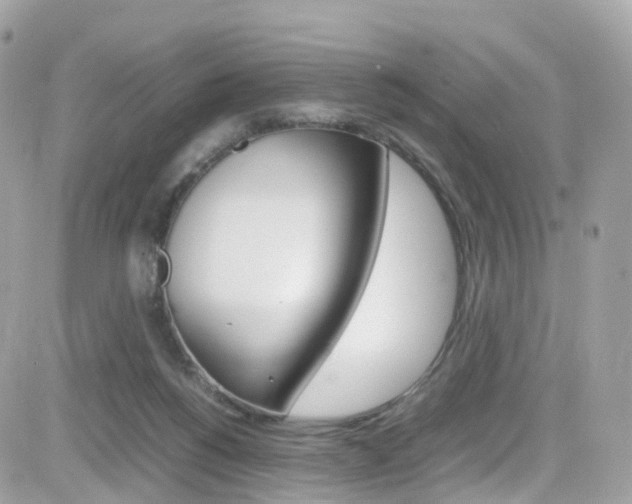 X0000082170168200701191029