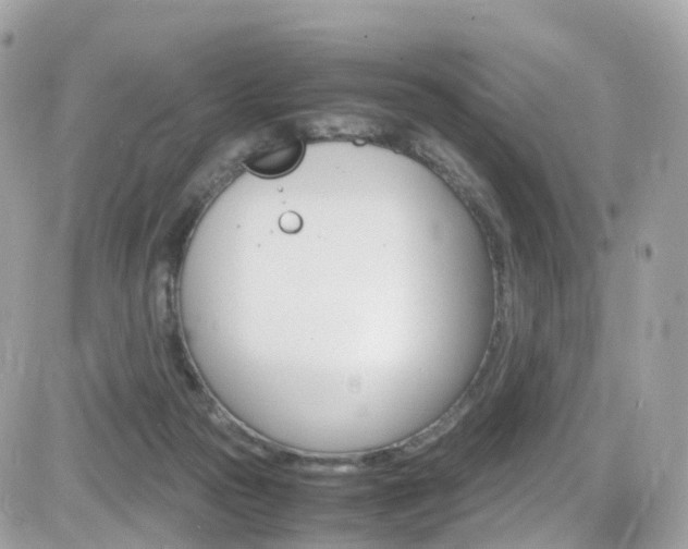 X0000082170169200701191029