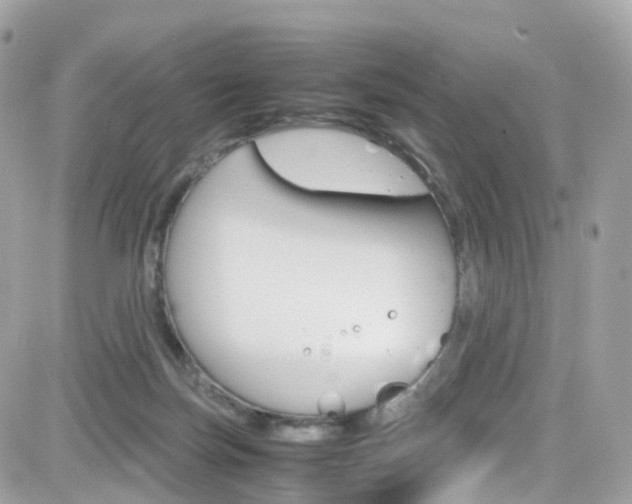 X0000082170171200701191029