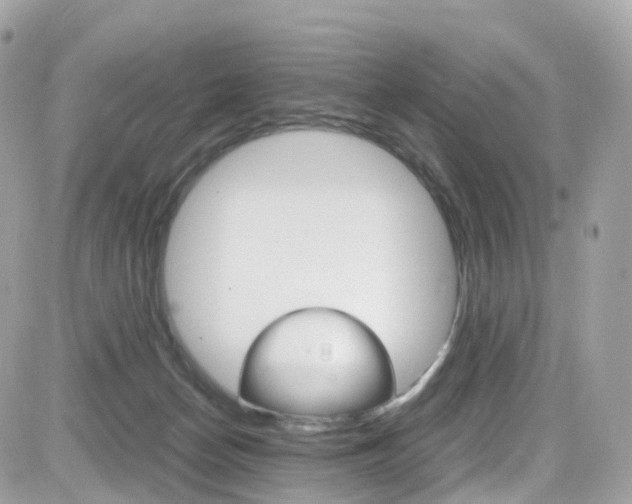 X0000082170174200701191029