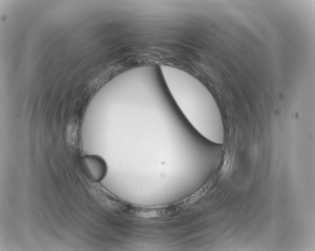 X0000082170177200701191029