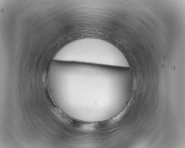 X0000082170178200701191029