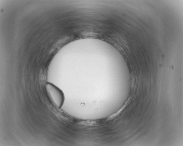 X0000082170179200701191029