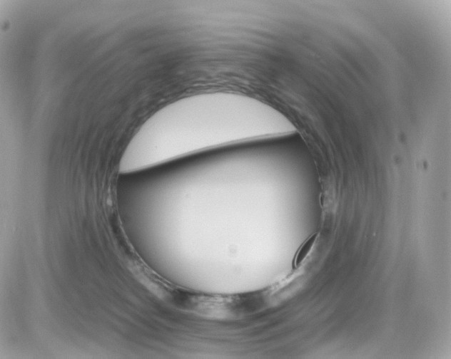 X0000082170182200701191029