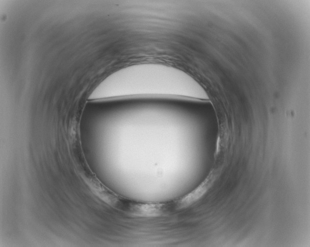 X0000082170184200701191029