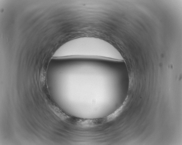 X0000082170186200701191029