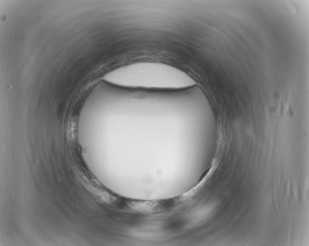 X0000082170191200701191029