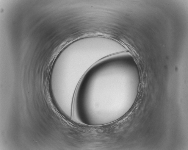 X0000082170193200701191029