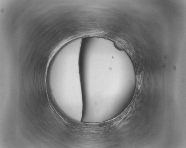 X0000082170196200701191029