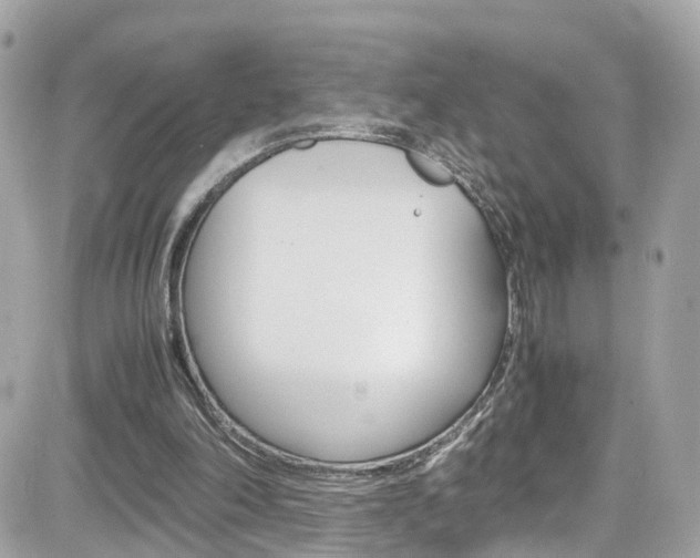 X0000082170198200701191029