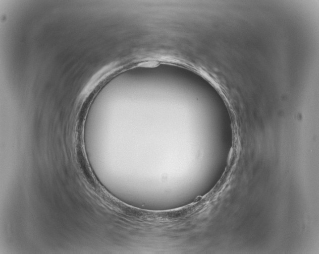 X0000082170199200701191029