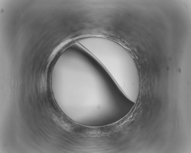 X0000082170200200701191029