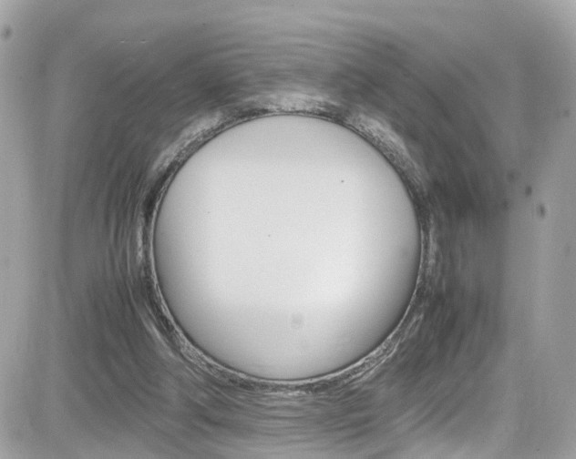 X0000082170202200701191029