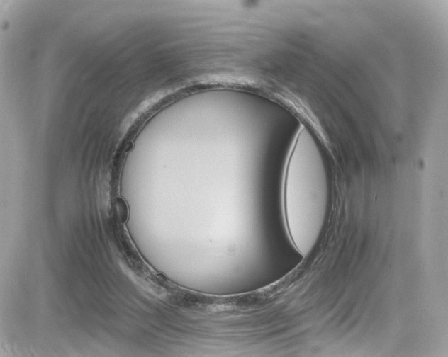 X0000082170204200701191029