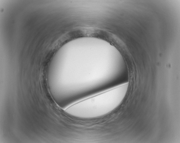 X0000082170221200701191028