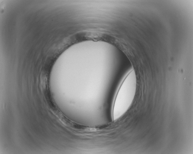 X0000082170227200701191028